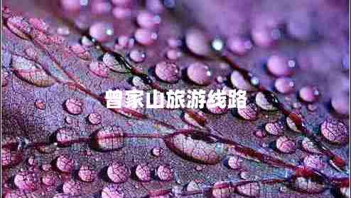 曾家山旅游線(xiàn)路