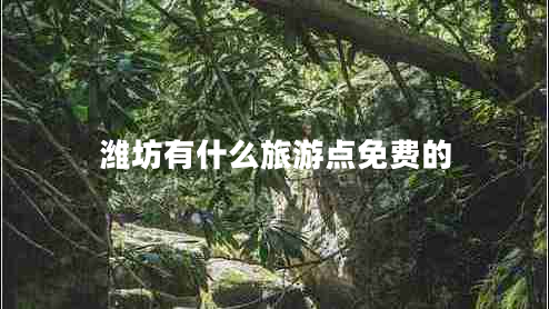 濰坊有什么旅游點(diǎn)免費的