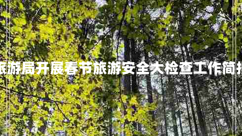 旅游局開(kāi)展春節旅游安全大檢查工作簡(jiǎn)報
