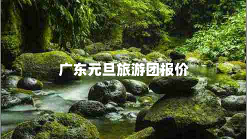 廣東元旦旅游團報價(jià)