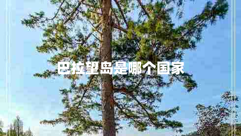 巴拉望島是哪個(gè)國家