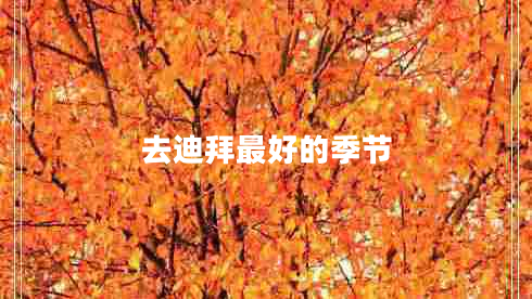 去迪拜最好的季節