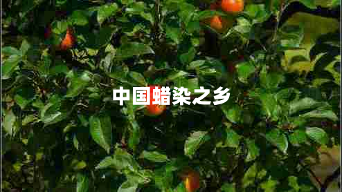 中國蠟染之鄉