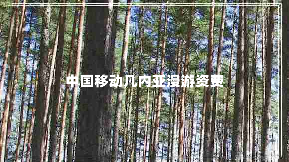 中國移動(dòng)幾內亞漫游資費