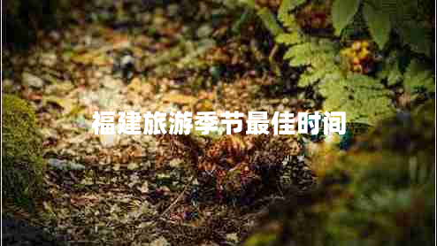 福建旅游季節最佳時(shí)間