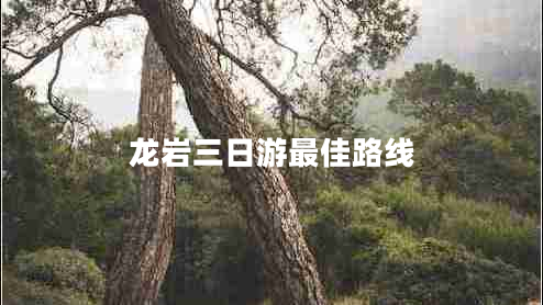 龍巖三日游最佳路線(xiàn)