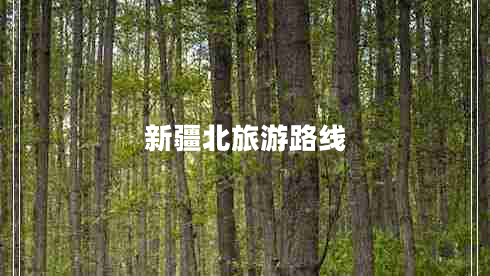 新疆北旅游路線(xiàn)