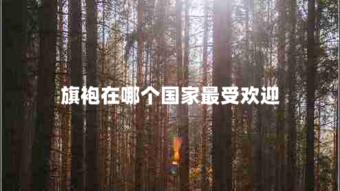 旗袍在哪個(gè)國家最受歡迎
