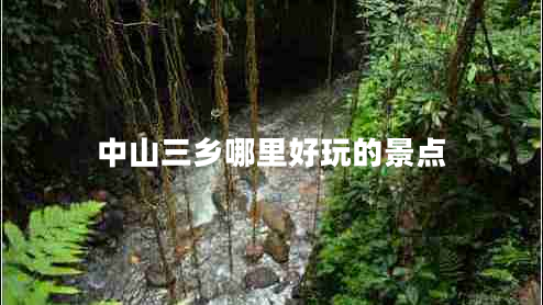 中山三鄉哪里好玩的景點(diǎn)