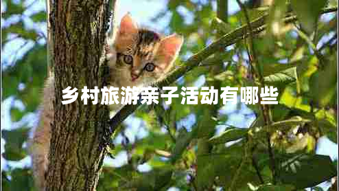 鄉村旅游親子活動(dòng)有哪些