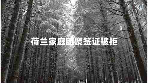 荷蘭家庭團聚簽證被拒