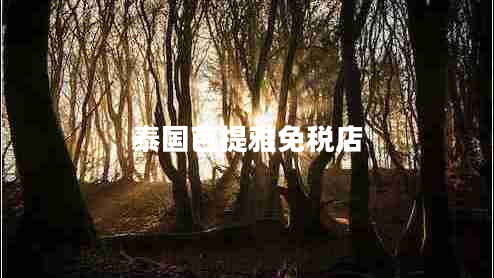 泰國芭提雅免稅店