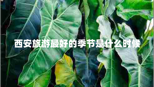 西安旅游最好的季節是什么時(shí)候
