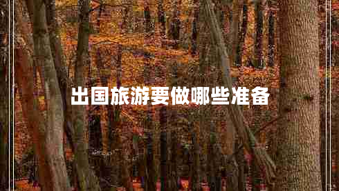 出國旅游要做哪些準備