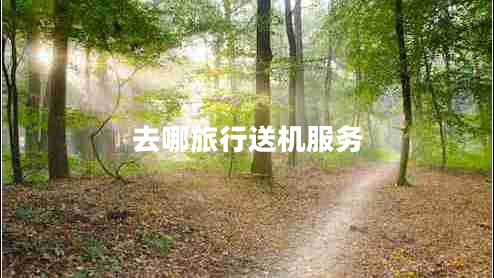 去哪旅行送機服務(wù)