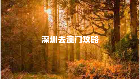 深圳去澳門(mén)攻略