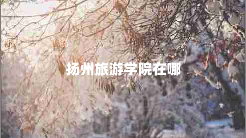 揚州旅游學(xué)院在哪