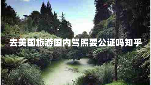 去美國旅游國內駕照要公證嗎知乎