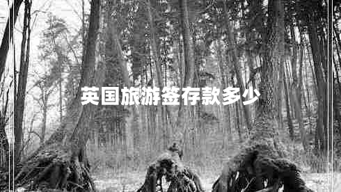 英國旅游簽存款多少