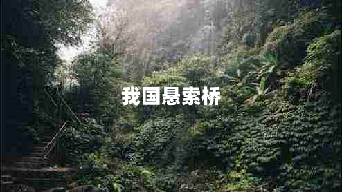 我國懸索橋