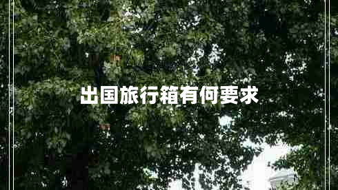 出國旅行箱有何要求