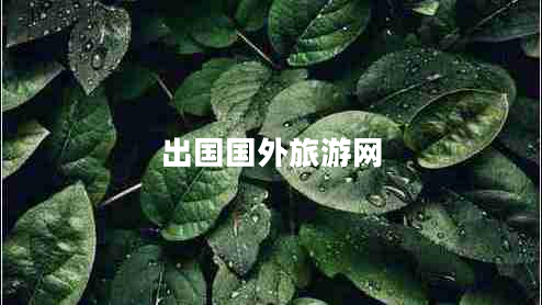 出國國外旅游網(wǎng)