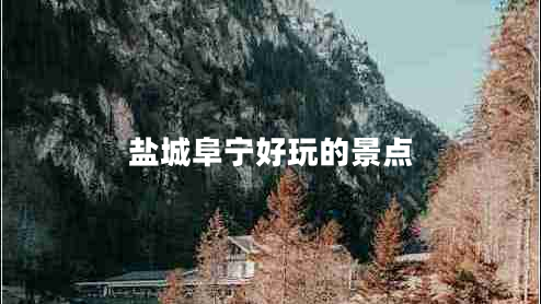 鹽城阜寧好玩的景點(diǎn)
