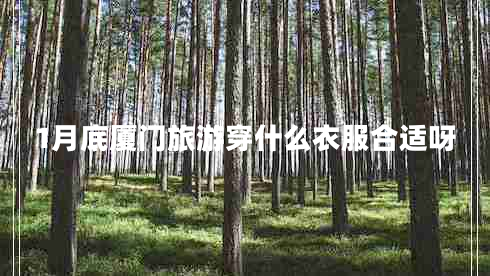 1月底廈門(mén)旅游穿什么衣服合適呀