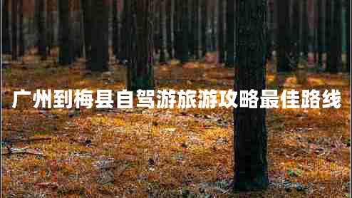 廣州到梅縣自駕游旅游攻略最佳路線(xiàn)