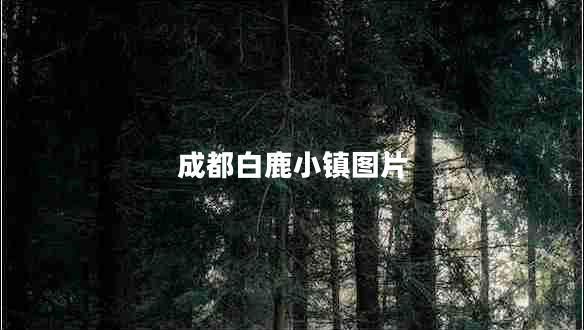 成都白鹿小鎮圖片
