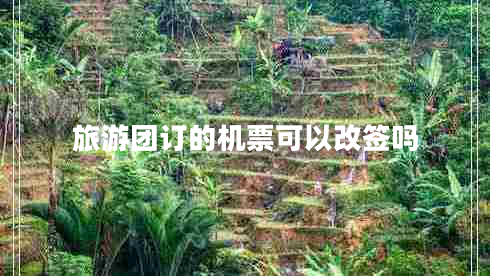 旅游團訂的機票可以改簽嗎
