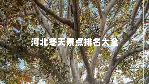 河北冬天景點(diǎn)排名大全