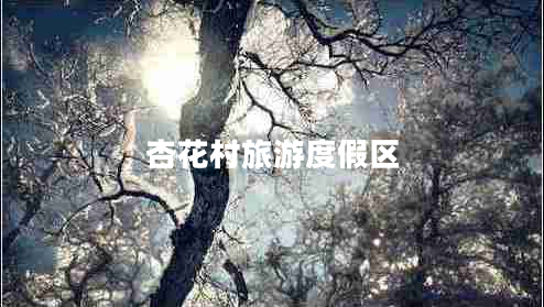 杏花村旅游度假區