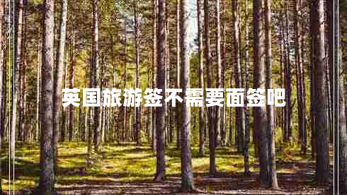 英國旅游簽不需要面簽吧