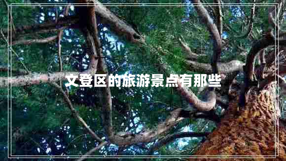 文登區的旅游景點(diǎn)有那些