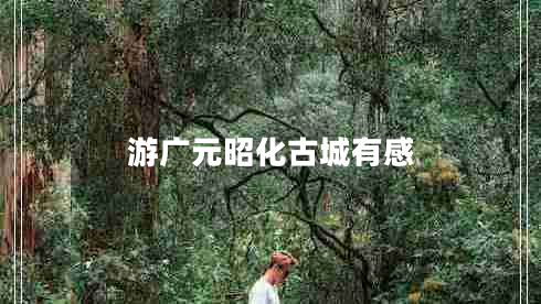 游廣元昭化古城有感