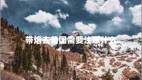 帶煙去美國需要注意什么
