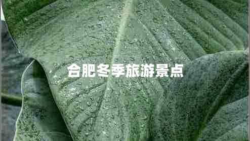 合肥冬季旅游景點(diǎn)