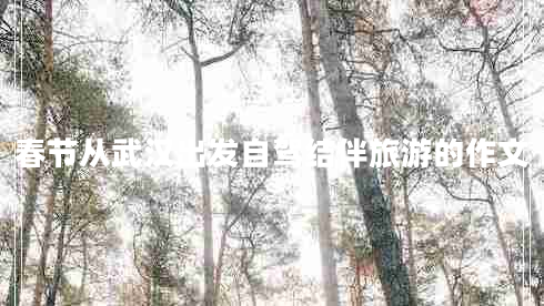 春節從武漢出發(fā)自駕結伴旅游的作文