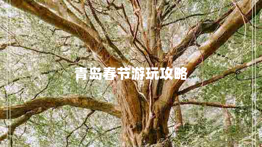 青島春節游玩攻略