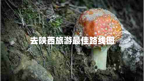 去陜西旅游最佳路線(xiàn)圖