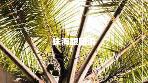 珠海跟團游