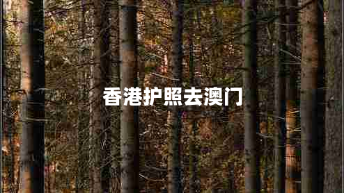 香港護照去澳門(mén)