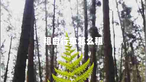 租自行車(chē)怎么租