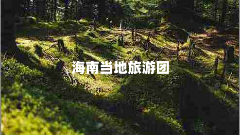 海南當地旅游團