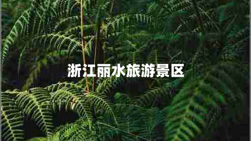 浙江麗水旅游景區