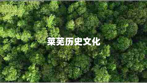 萊蕪歷史文化