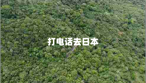 打電話(huà)去日本