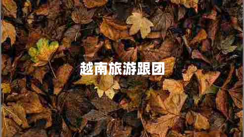 越南旅游跟團