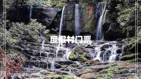 度假村門(mén)票